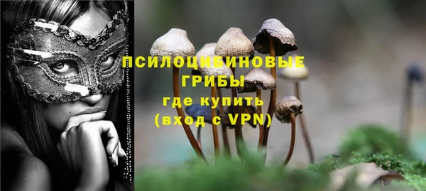 таблы Бородино