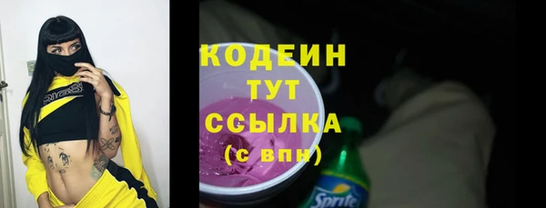 таблы Бородино