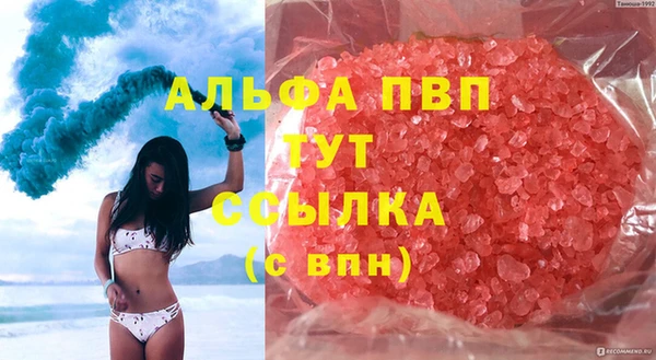 таблы Бородино