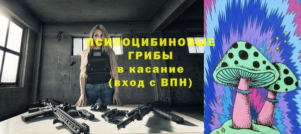 apvp Бронницы