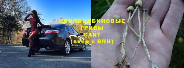 таблы Бородино