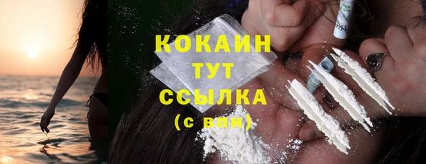 таблы Бородино