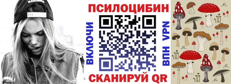 OMG маркетплейс  Гусиноозёрск  Галлюциногенные грибы мицелий 